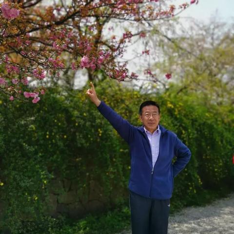 辉煌娱乐电竞首页官网入口下载再加上星耀电竞官网首页下载安装,留心误导包装技巧-方案解读、专家解读解释与落实