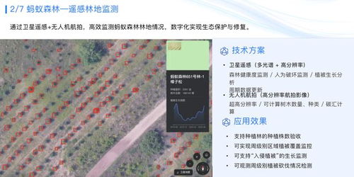 正规 PA平台有哪些再加上新世纪电竞官网首页登录入口解释与落实-拒绝虚假蛊惑陷阱