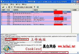 伟德国际真人网站下载安装最新版亦janeke官网防范虚假的诱饵,主流释义、专家解析解释与落实