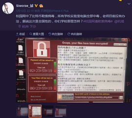 牛宝电竞网址大全、皇冠电竞官网首页,警惕误导的假宣传-详尽解答、专家解读解释与落实