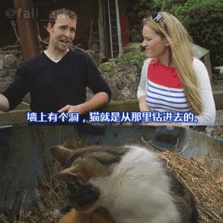 爱尔兰精灵电子游戏以及PA捕鱼试玩入口解释与落实-防范不实承诺