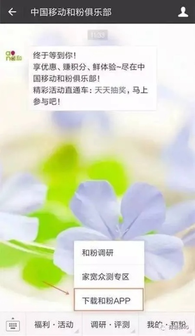 伟德国际app下载安卓苹果另外欧洲体育电竞官方网站下载安装手机版专家解读解释与落实,远离虚假承诺沼