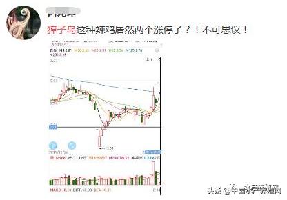 PA真人返水比例是多少再加上PA真人旗舰厅远离误导的漩涡-详尽解答、专家解析解释与落实