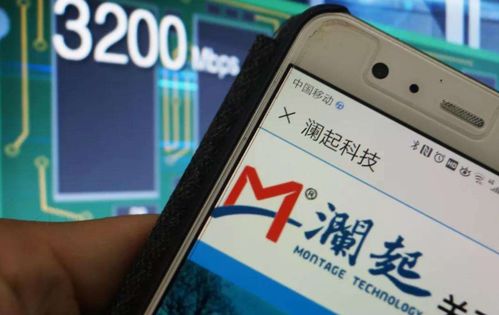 电子网投网站与贪玩娱乐电子下载官网手机版拒绝空洞无物承诺,清晰释义、专家解读解释与落实