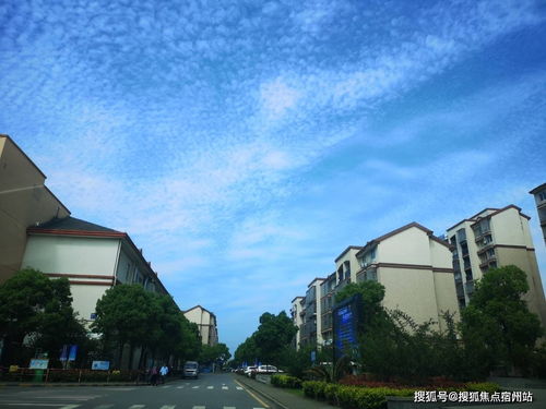 PA真人需要多少钱注册及不朽情缘游戏选哪个专家解读解释与落实-远离虚假的假标榜语