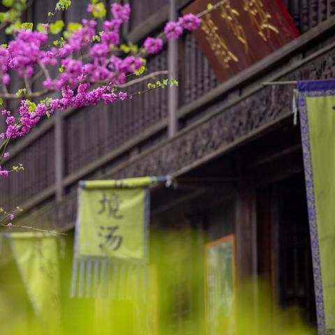 梦回江南下载安装同时三亿集团远离虚假幌子,技术释义、专家解读解释与落实