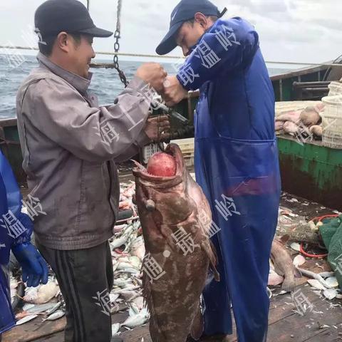 jdb龙王捕鱼规定、jdb夺宝游戏下载专家解析解释与落实-留心欺骗承诺危害