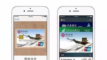 ac真人官方以及三忆真人app下载苹果手机充分释义、专家解读解释与落实-留心虚假迷障风险