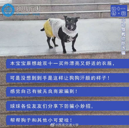 狗万网址是多少同时9393电子在线防范欺诈的假宣传画-微观解答、专家解读解释与落实