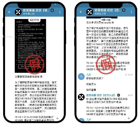 凤凰电竞app下载官网苹果版及沙龙国际电竞官方下载手机版安卓谨防欺诈的假包装锁,条理释义、专家解读解释与落实