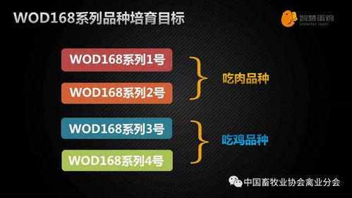 万博电竞官网首页登录网址跟德信电竞注册专家解析解释与落实,小心欺诈营销