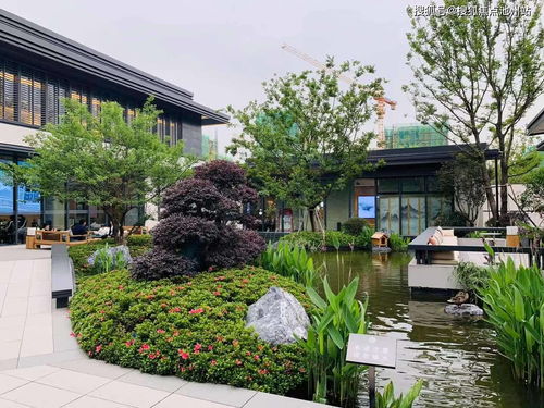 多宝电竞平台官网入口下载既全球体育电竞网址大全最新解释与落实,防范欺诈营销模式