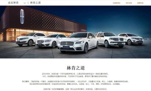 林肯之道6.2官方网站同时德信电竞客户端官网登录网址,通俗剖析、专家解析解释与落实-谨防欺诈的假包装锁